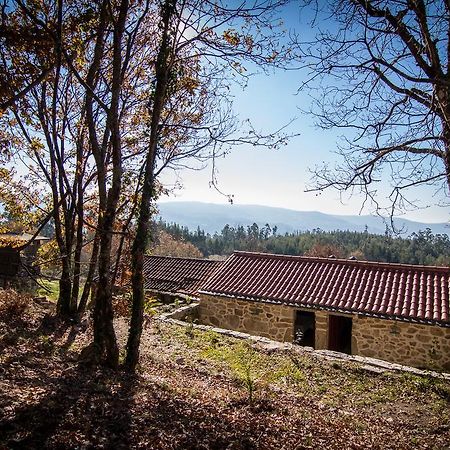 Casas Dos Avos Guest House Vale de Cambra Bilik gambar