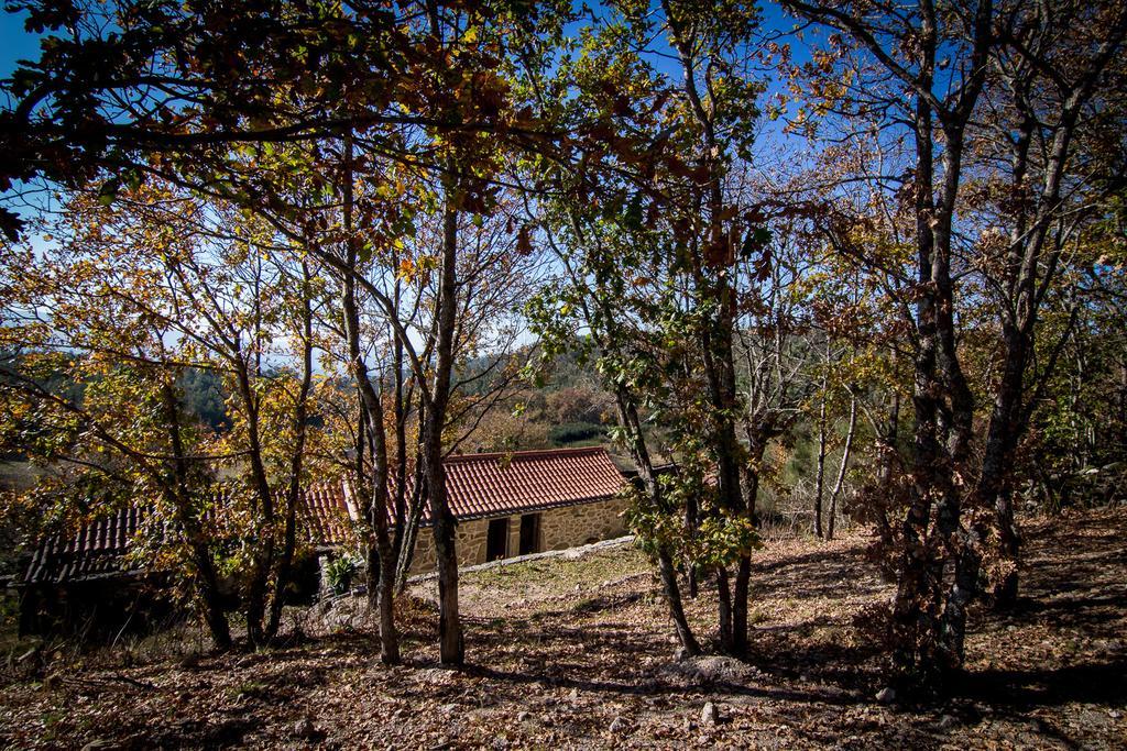 Casas Dos Avos Guest House Vale de Cambra Bilik gambar