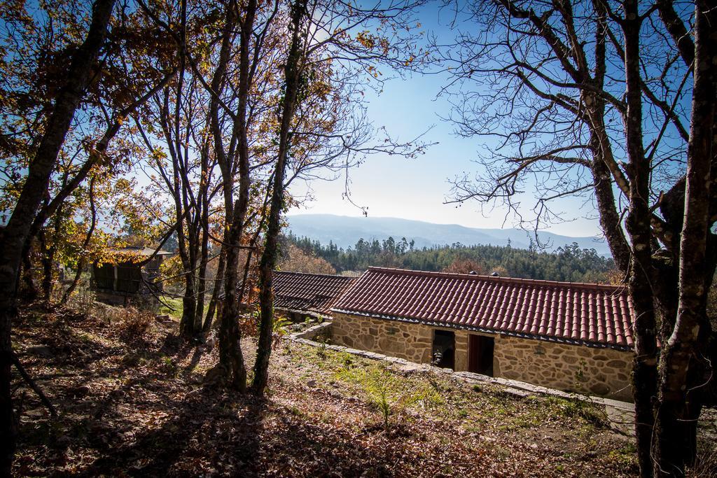 Casas Dos Avos Guest House Vale de Cambra Bilik gambar